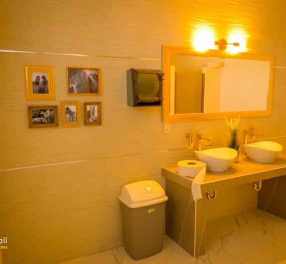 Sanitarios decorados con estilo